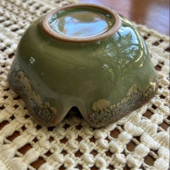 NEW Windowsill SUCCULENT 4" Anthropologie - Picture 8 of 13